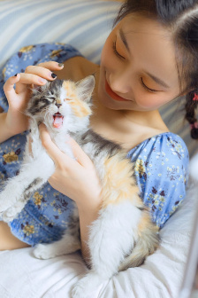 猩球崛起2:黎明之战电影